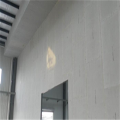 西畴宁波ALC板|EPS加气板隔墙与混凝土整浇联接的实验研讨